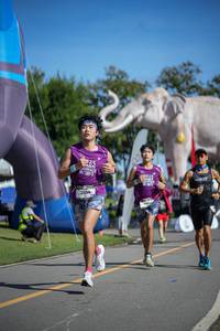 BIB: 
                            <button type="button" onclick="openModal(26542227)" class="btn btn-primary btn-sm float-right btn-popup" data-toggle="modal" data-target=".modal-high-quality">
                        <i class="fas fa-shopping-cart"></i> Add to Cart
                    </button>
                                            <button type="button" onclick="isThisMe(26542227, true)" class="btn btn-success btn-sm float-right btn-popup btn-isme hidden" data-toggle="tooltip" data-placement="bottom" title="นี่คือรูปของคุณใช่ไหม คลิกที่นี่เพื่อเอาเข้าอัลบั้ม">
                        <i class="fas fa-plus"></i> Add to album
                    </button>
                    <button type="button" onclick="isThisMe(26542227, false)" class="btn btn-warning btn-sm float-right btn-popup btn-isnotme hidden">
                        <i class="fas fa-ban"></i> Remove from album
                    </button>